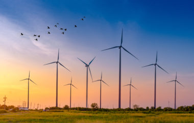 A energia dos ventos: tudo sobre energia eólica