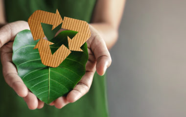 Sustentabilidade empresarial: as empresas como aliadas do meio ambiente